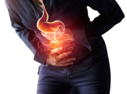gut health